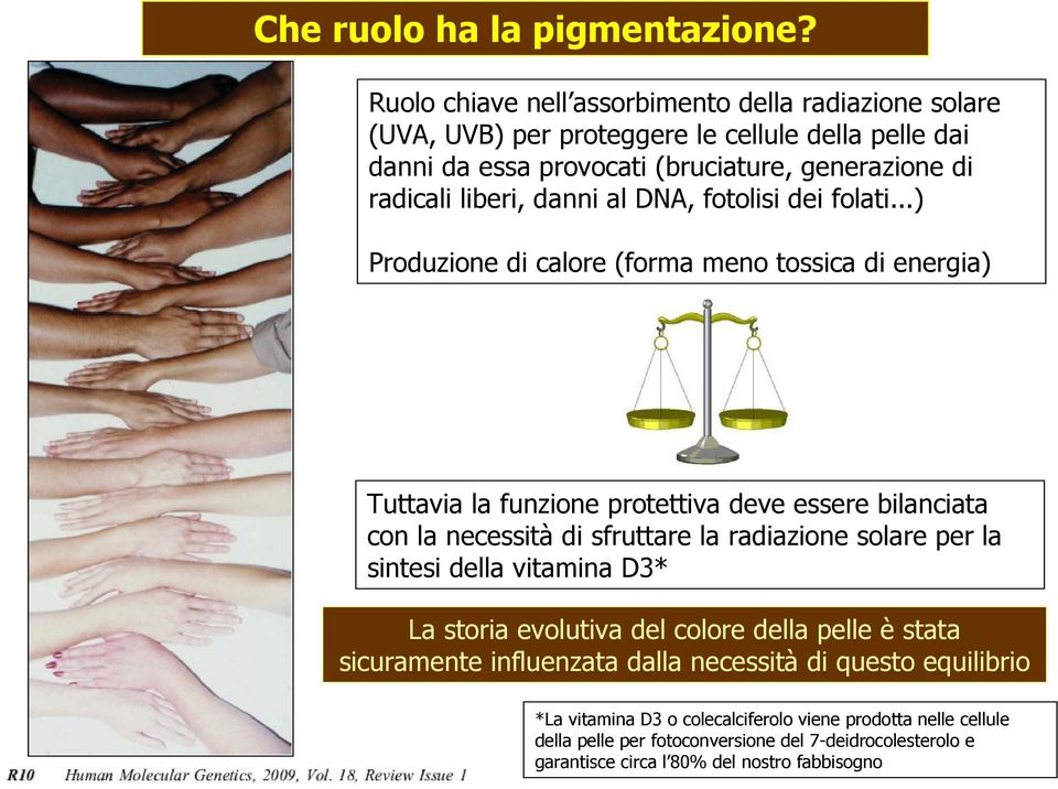 danni al DNA, fotolisi dei folati.