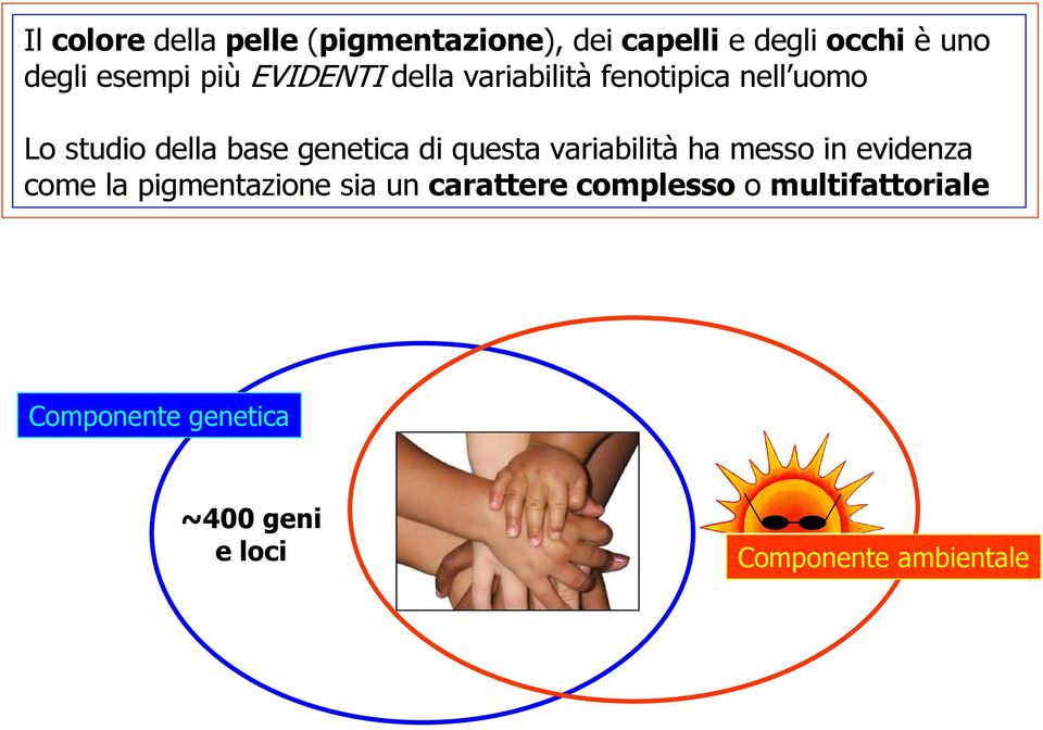 di questa variabilità ha messo in evidenza come la pigmentazione sia un carattere