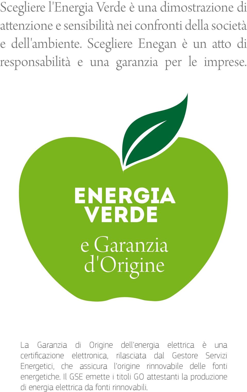 Energia Verde e Garanzia d'origine La Garanzia di Origine dell'energia elettrica è una certificazione elettronica, rilasciata