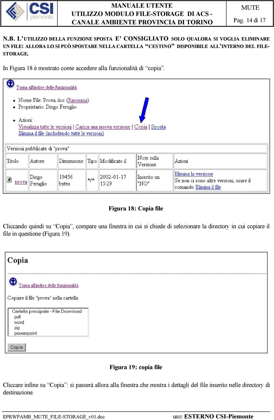 DISPONIBILE ALL INTERNO DEL FILE- STORAGE. In Figura 18 è mostrato come accedere alla funzionalità di copia.