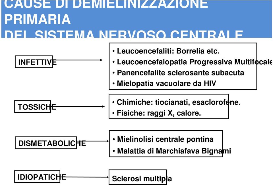 Leucoencefalopatia Progressiva Multifocale Panencefalite sclerosante subacuta Mielopatia