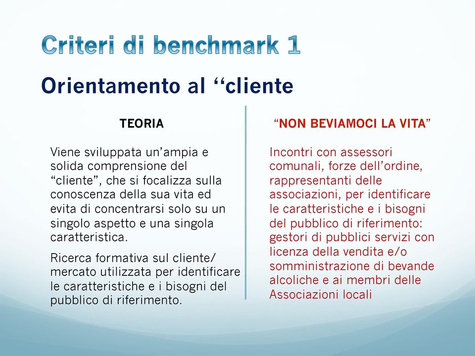 Ricerca formativa sul cliente/ mercato utilizzata per identificare le caratteristiche e i bisogni del pubblico di riferimento.