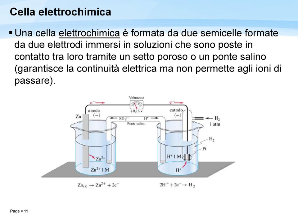 poste in contatto tra loro tramite un setto poroso o un ponte salino