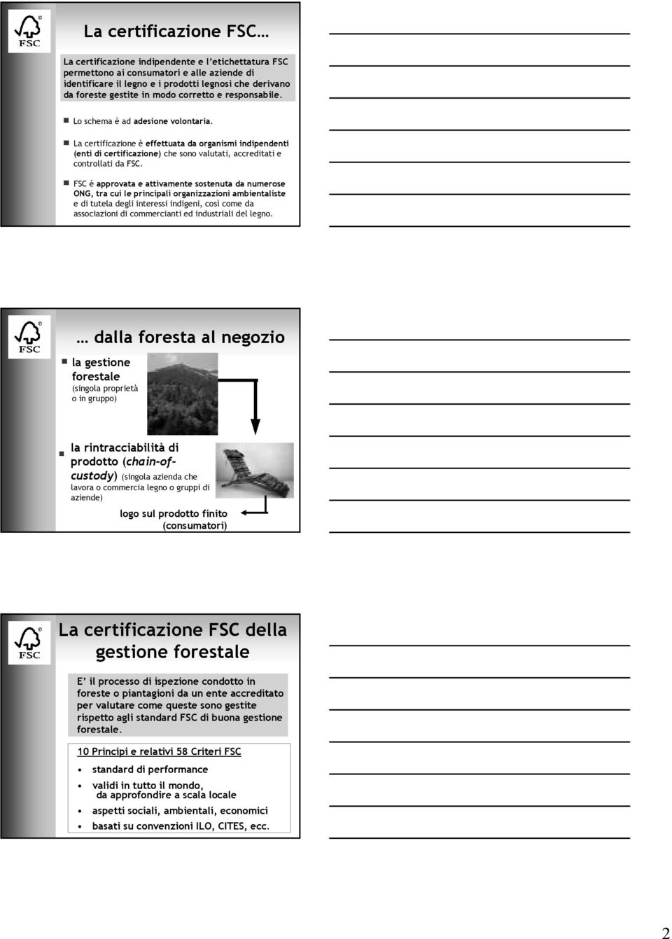 FSC è approvata e attivamente sostenuta da numerose ONG, tra cui le principali organizzazioni ambientaliste e di tutela degli interessi indigeni, così come da associazioni di commercianti ed