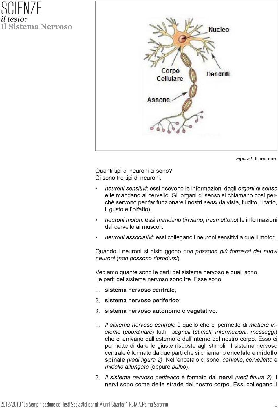 neuroni motori: essi mandano (inviano, trasmettono) le informazioni dal cervello ai muscoli. neuroni associativi: essi collegano i neuroni sensitivi a quelli motori.