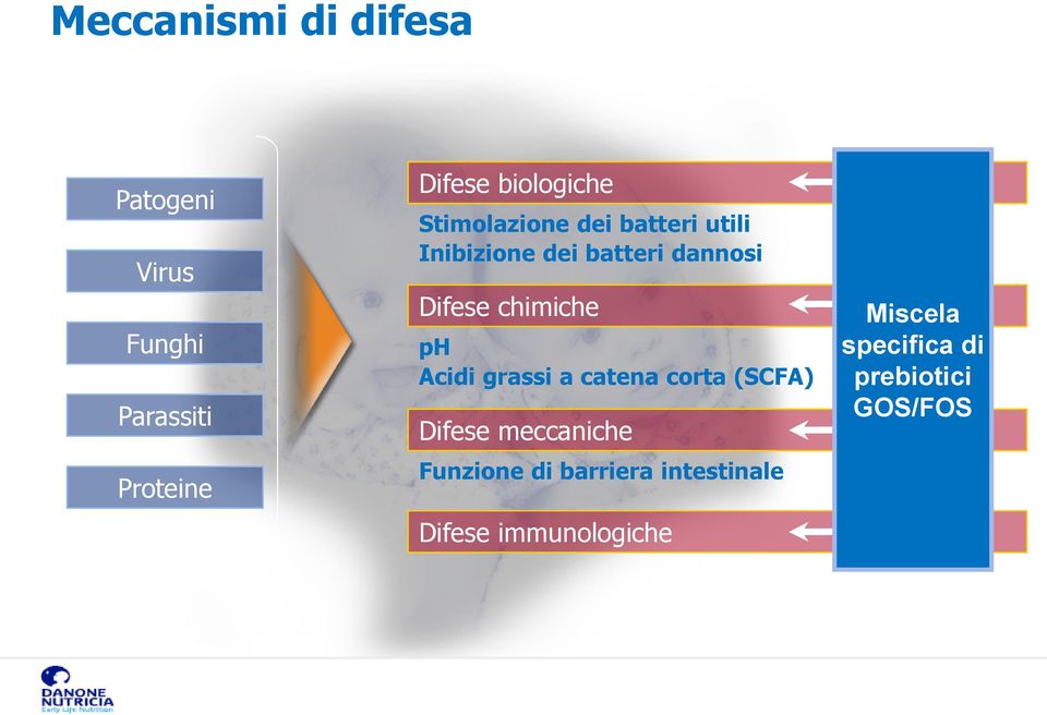 Difese chimiche ph Acidi grassi a catena corta (SCFA) Difese meccaniche