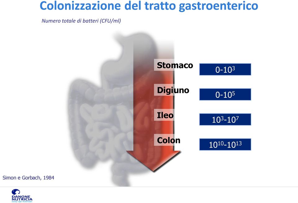 (CFU/ml) Stomaco Digiuno Ileo Colon