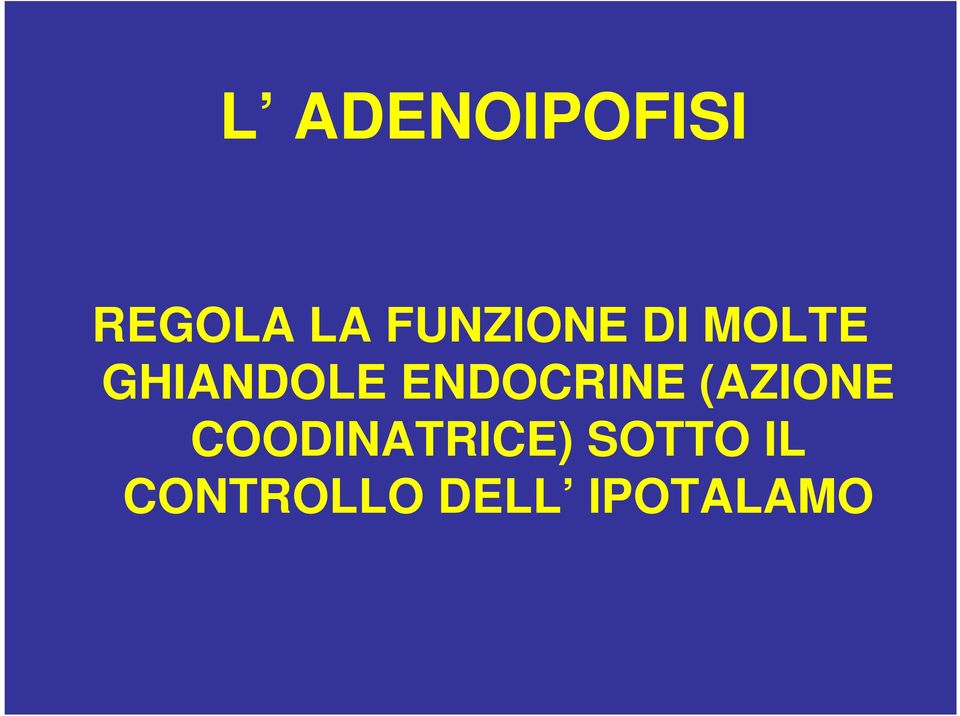 ENDOCRINE (AZIONE