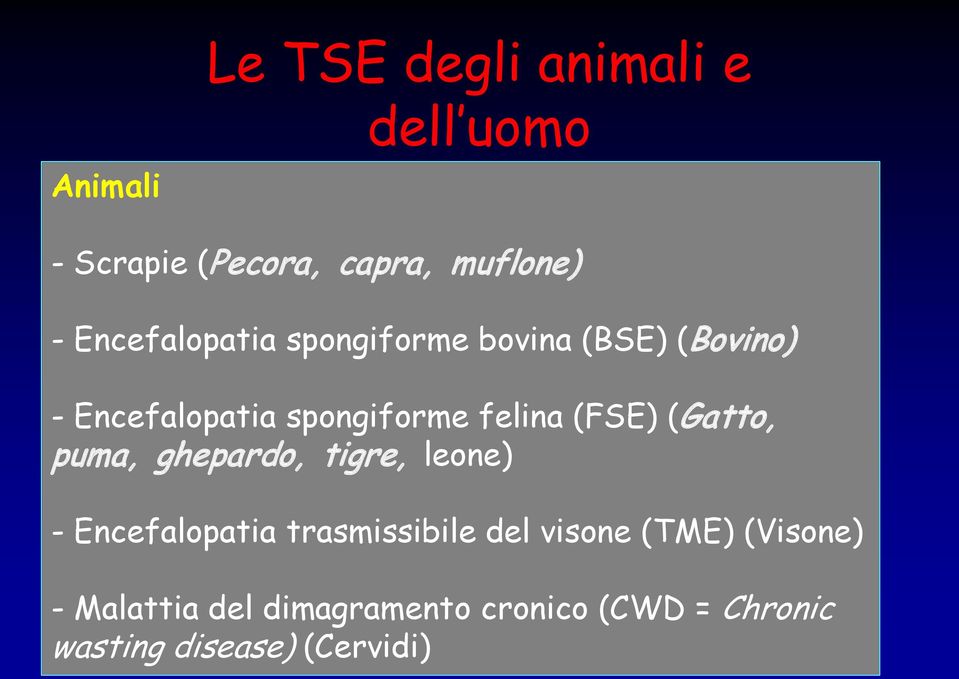 (FSE) (Gatto, puma, ghepardo, tigre, leone) - Encefalopatia trasmissibile del visone