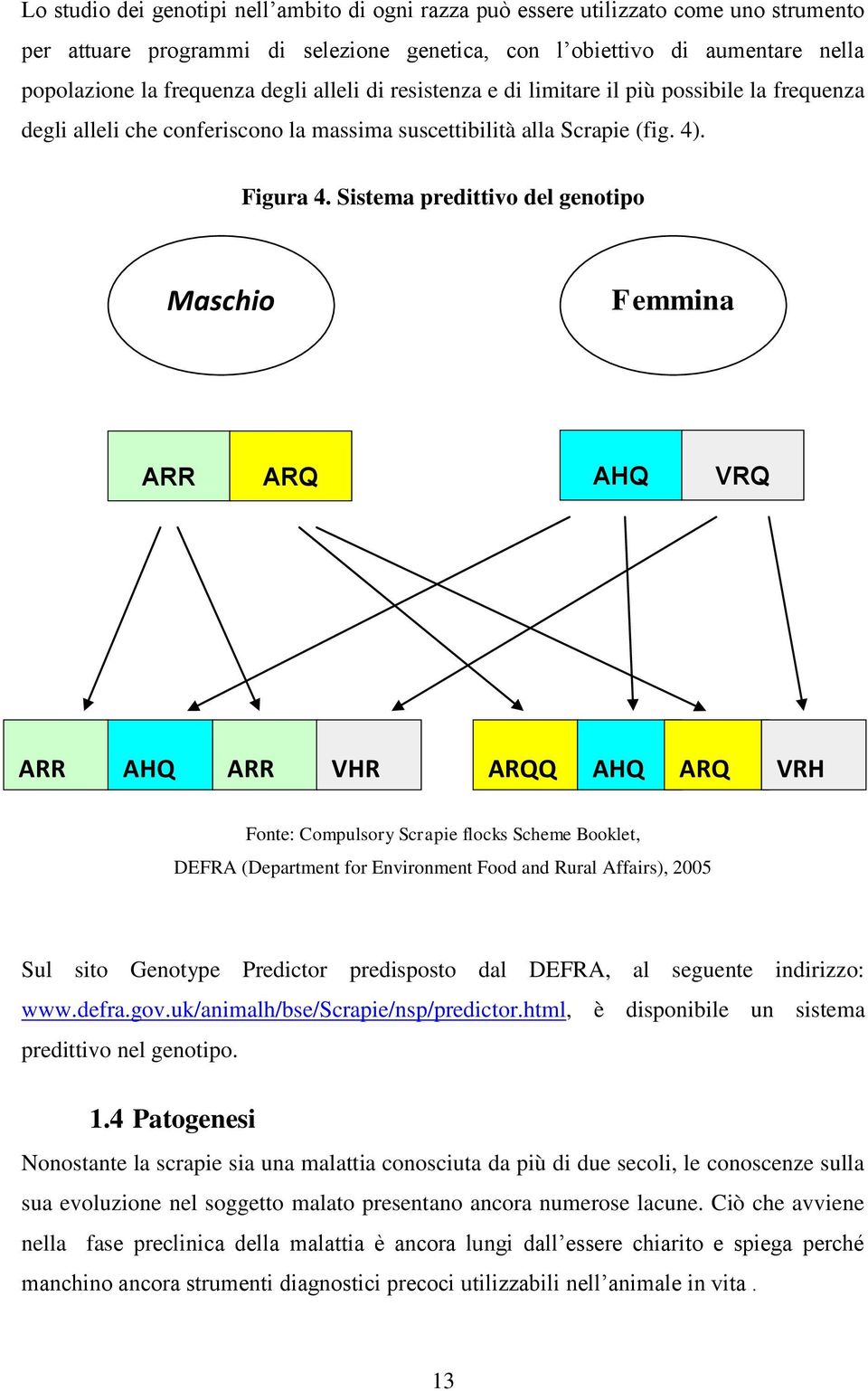 Sistema predittivo del genotipo Maschio Femmina ARR ARQ AHQ VRQ ARR AHQ AHQ ARR ARR VHR VHR ARQQ Q ARQ AHQ AHQ Fonte: Compulsory Scrapie flocks Scheme Booklet, DEFRA (Department for Environment Food