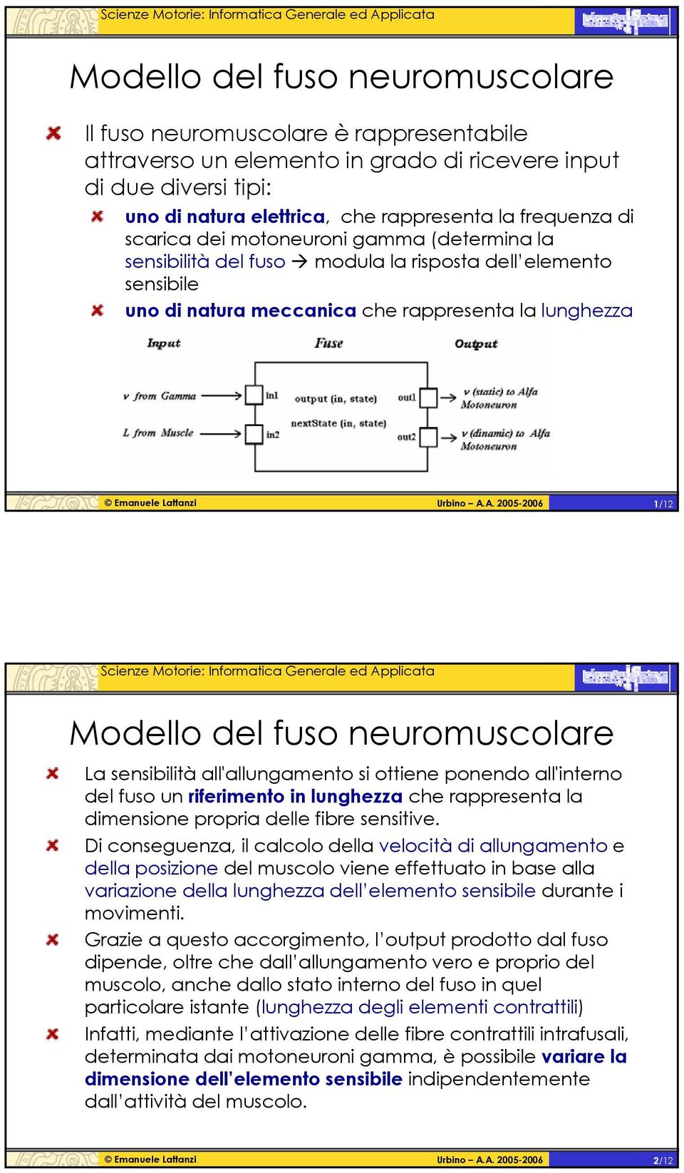 1/12 Modello del fuso neuromuscolare a ibilità all'allungamento si ottiene ponendo all'interno del fuso un riferimento in lunghezza che rappresenta la dimensione propria delle fibre itive.