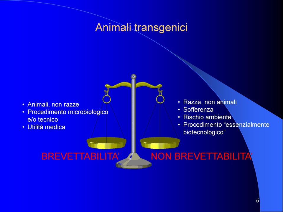 animali Sofferenza Rischio ambiente Procedimento