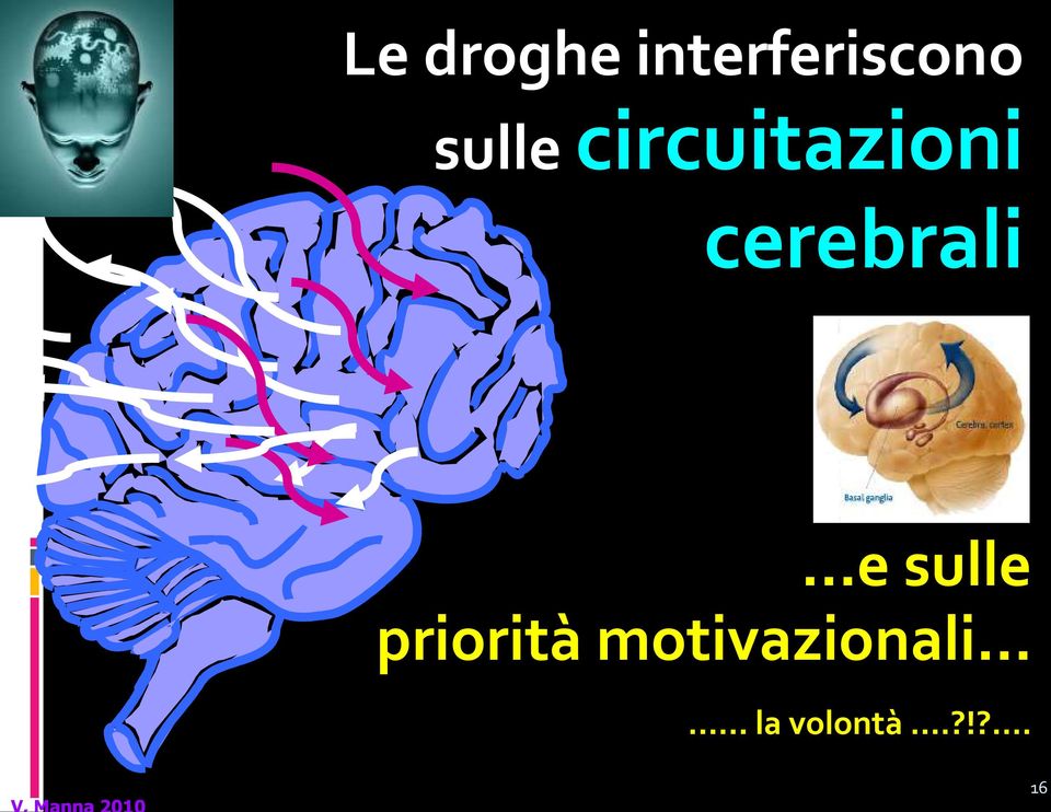 cerebrali e sulle priorità