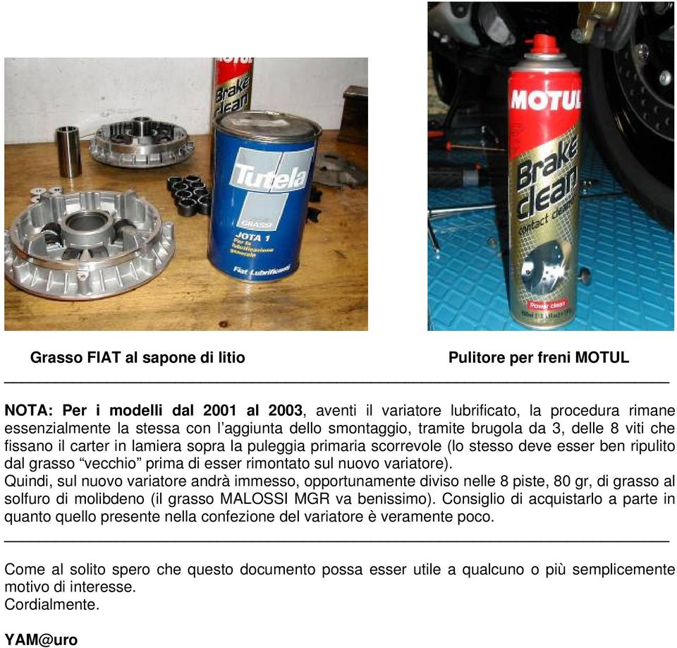 sul nuovo variatore). Quindi, sul nuovo variatore andrà immesso, opportunamente diviso nelle 8 piste, 80 gr, di grasso al solfuro di molibdeno (il grasso MALOSSI MGR va benissimo).