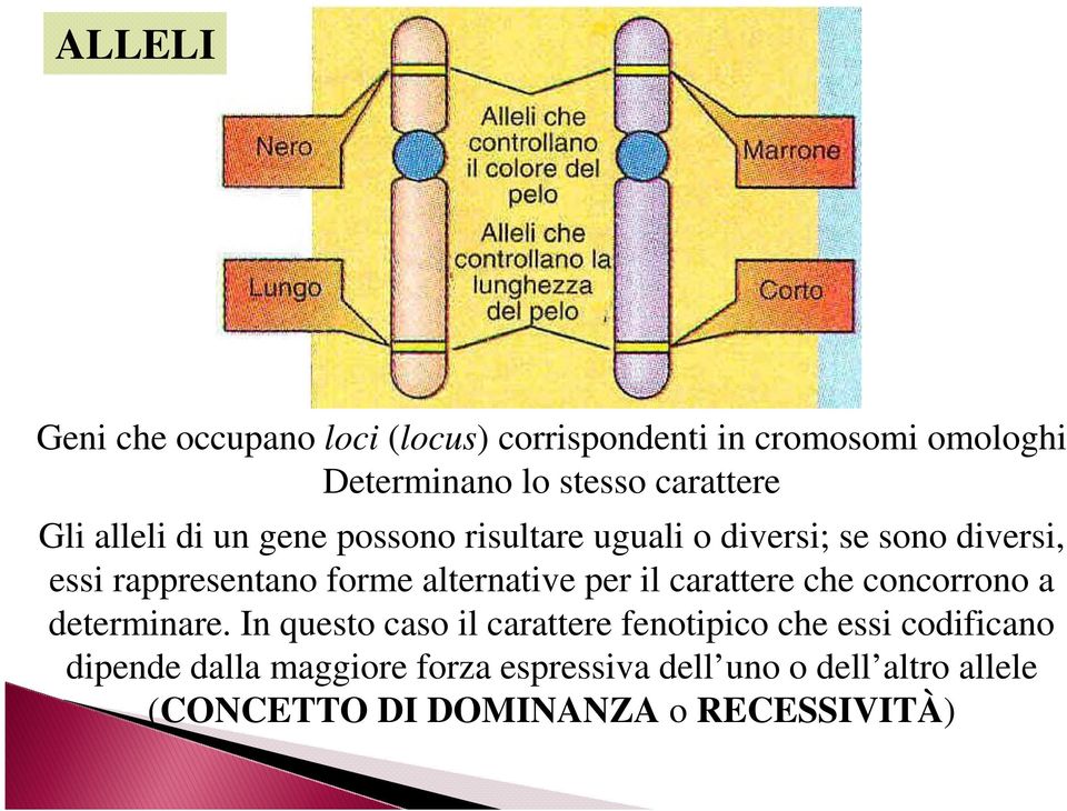 alternative per il carattere che concorrono a determinare.