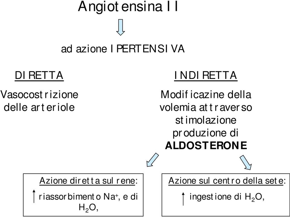 stimolazione produzione di ALDOSTERONE Azione diretta sul rene: