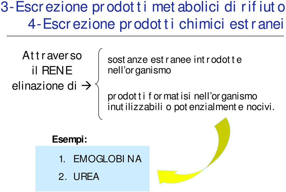 estranee introdotte nell organismo prodotti formatisi nell