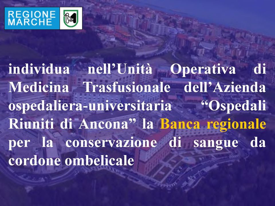 midollo osseo ospedaliera-universitaria Ancona AN01 Ospedali Riuniti