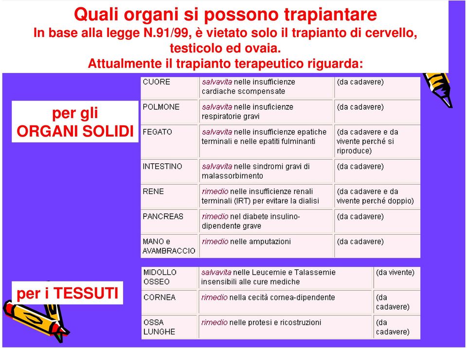 91/99, è vietato solo il trapianto di cervello,