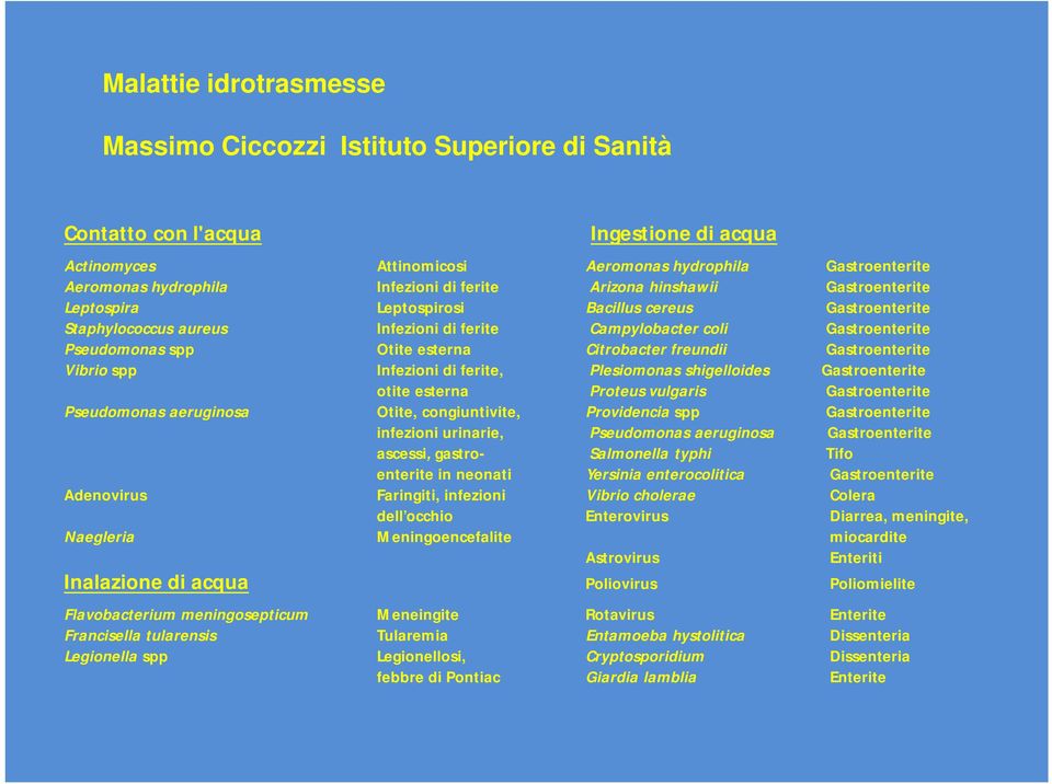 Otite esterna Citrobacter freundii Gastroenterite Vibrio spp Infezioni di ferite, Plesiomonas shigelloides Gastroenterite otite esterna Proteus vulgaris Gastroenterite Pseudomonas aeruginosa Otite,