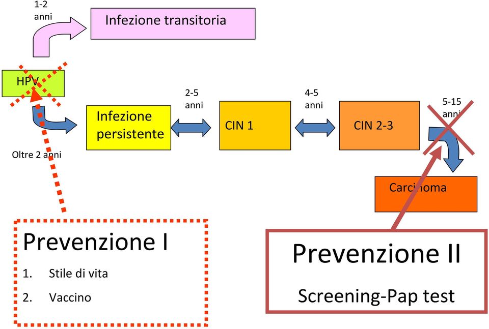 2-3 Oltre 2 anni Carcinoma Prevenzione I 1.