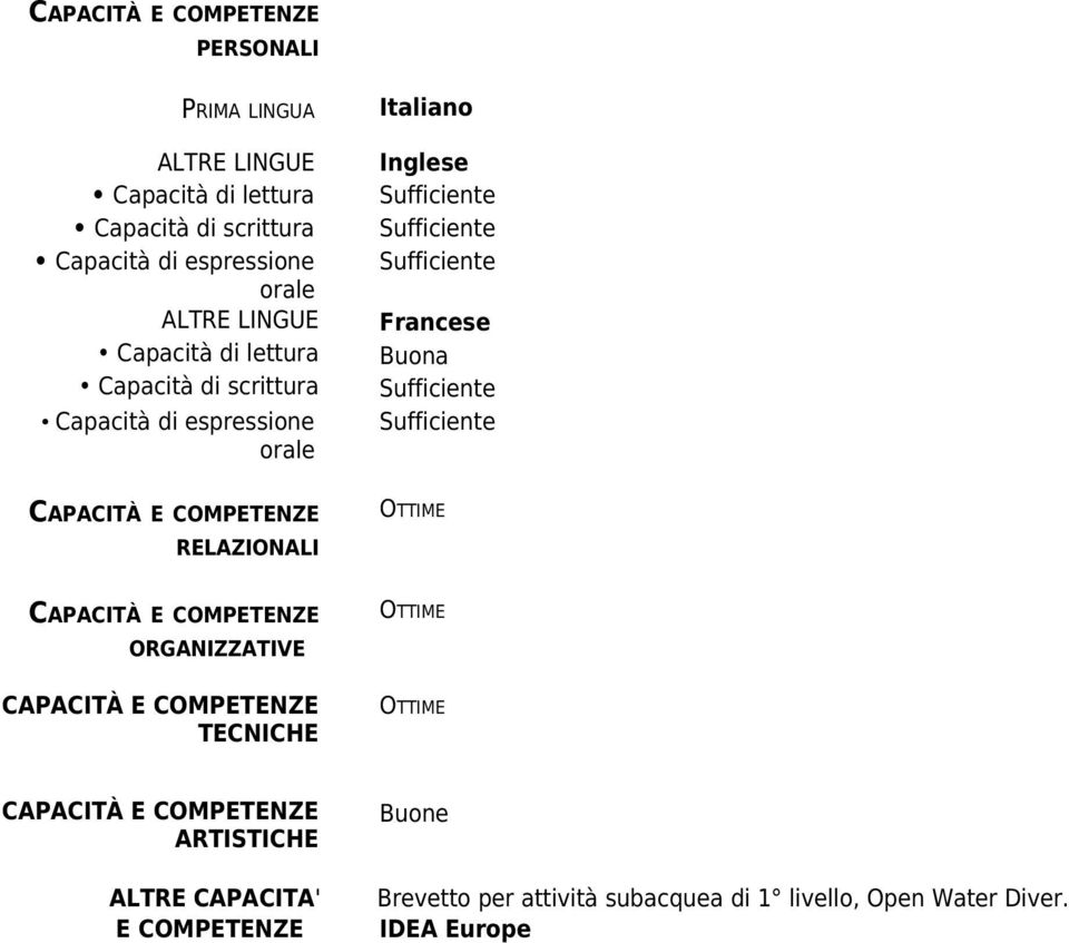 orale RELAZIONALI Italiano Inglese Francese Buona OTTIME ORGANIZZATIVE TECNICHE OTTIME OTTIME