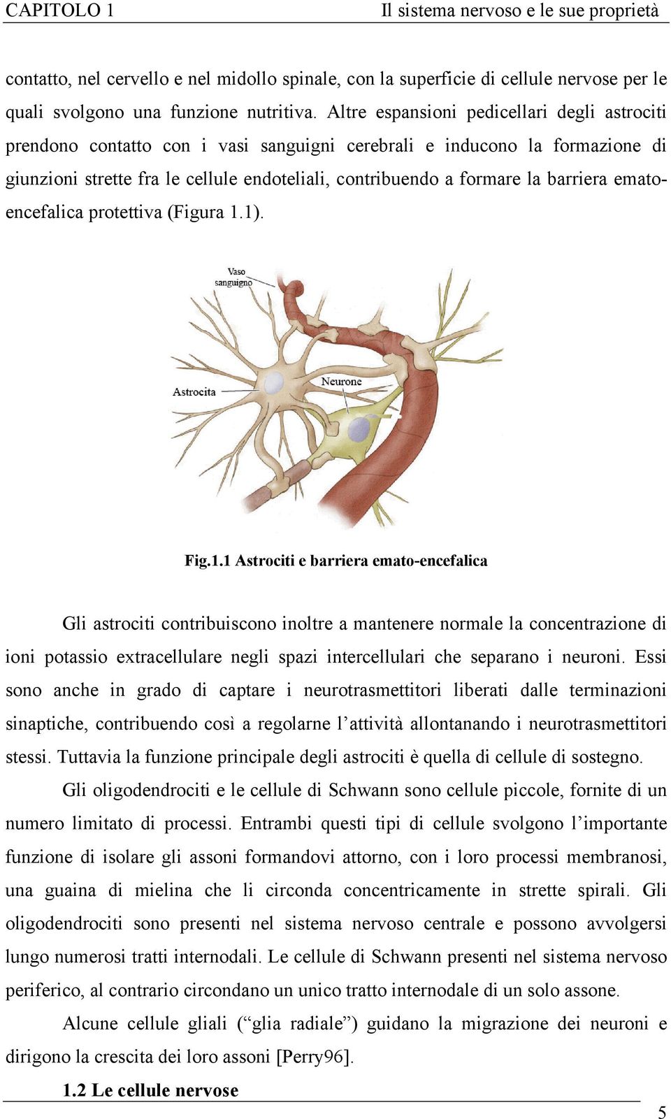 barriera ematoencefalica protettiva (Figura 1.