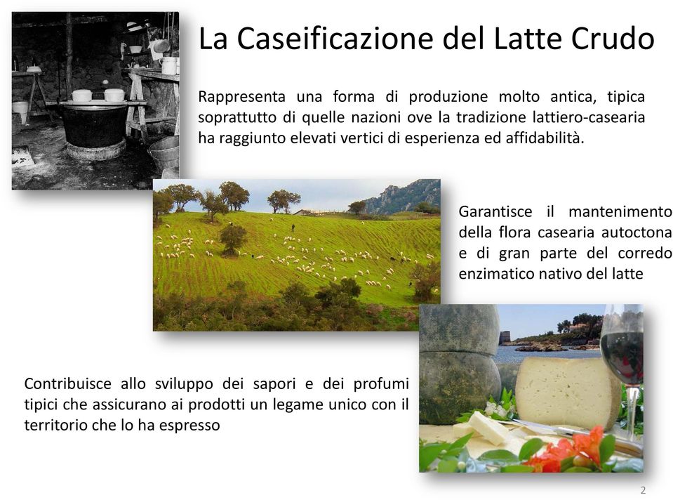 Garantisce il mantenimento della flora casearia autoctona e di gran parte del corredo enzimatico nativo del latte