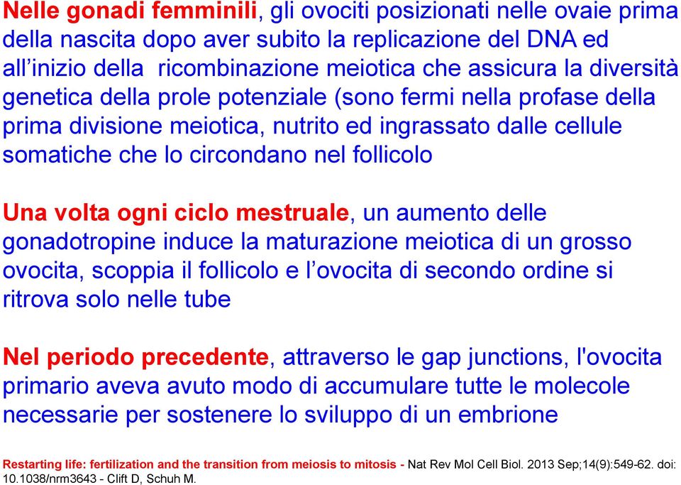 aumento delle gonadotropine induce la maturazione meiotica di un grosso ovocita, scoppia il follicolo e l ovocita di secondo ordine si ritrova solo nelle tube Nel periodo precedente, attraverso le