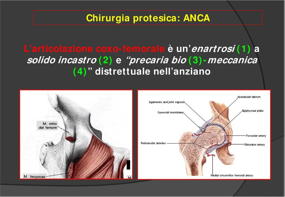 incastro (2) e precaria bio