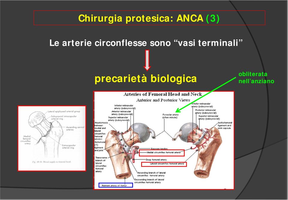 terminali precarietà