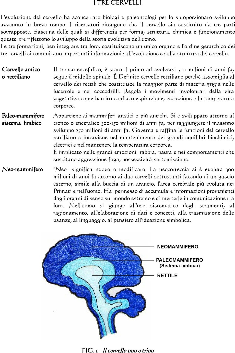 della storia evolutiva dell'uomo.