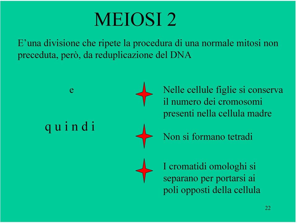 si conserva il numero dei cromosomi presenti nella cellula madre Non si formano