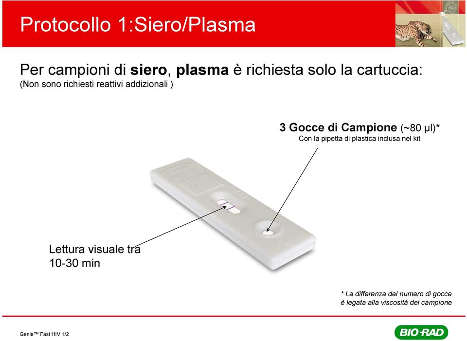 (~80 µl)* Con la pipetta di plastica inclusa nel kit Lettura visuale tra