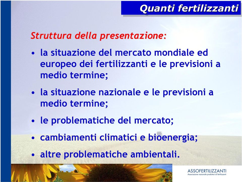 nazionale e le previsioni a medio termine; le problematiche del mercato;