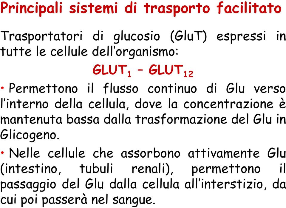concentrazione è mantenuta bassa dalla trasformazione del Glu in Glicogeno.