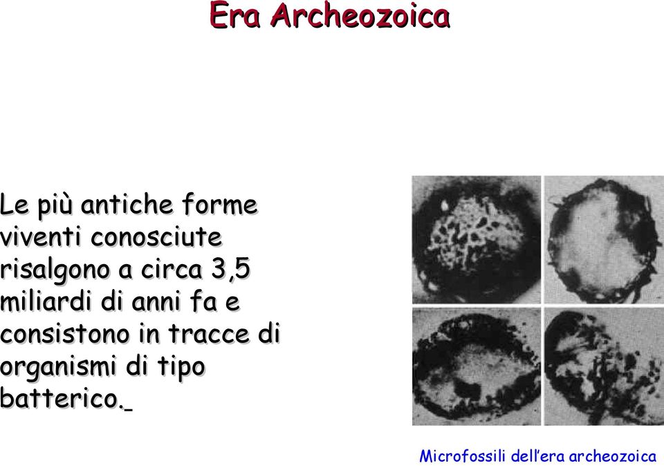 anni fa e consistono in tracce di organismi di
