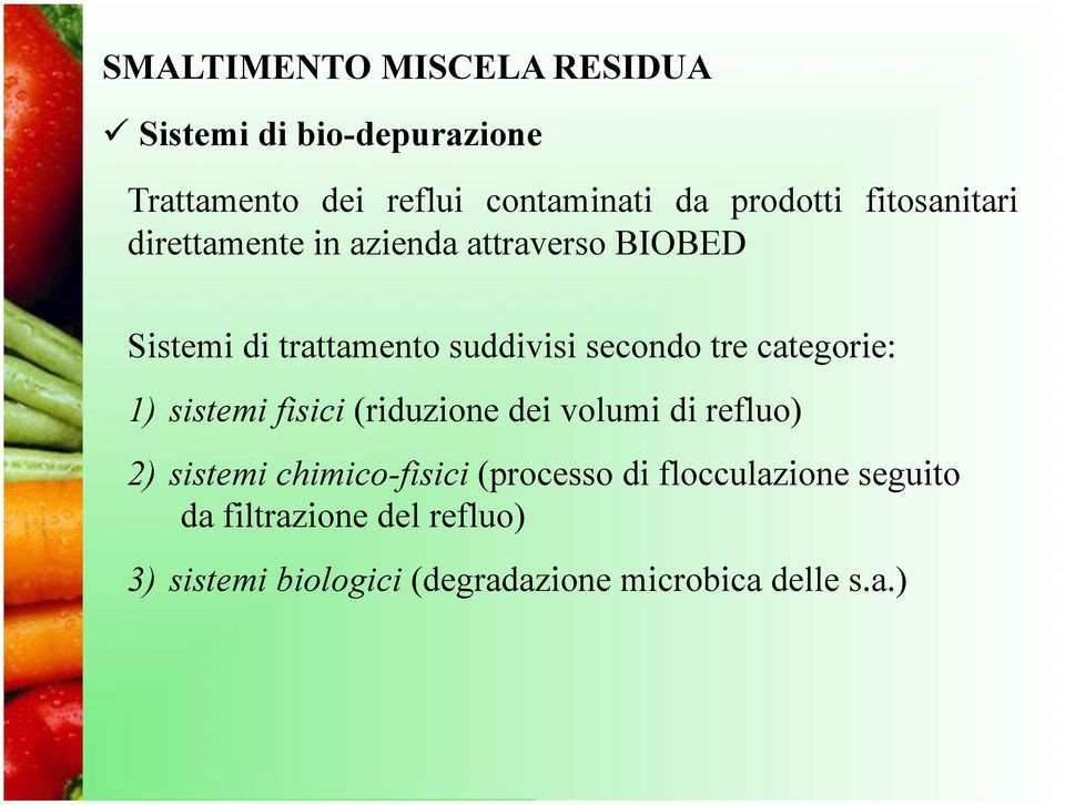 azienda attraverso BIOBED Sistemi di trattamento suddivisi secondo tre categorie: 1) sistemi fisici