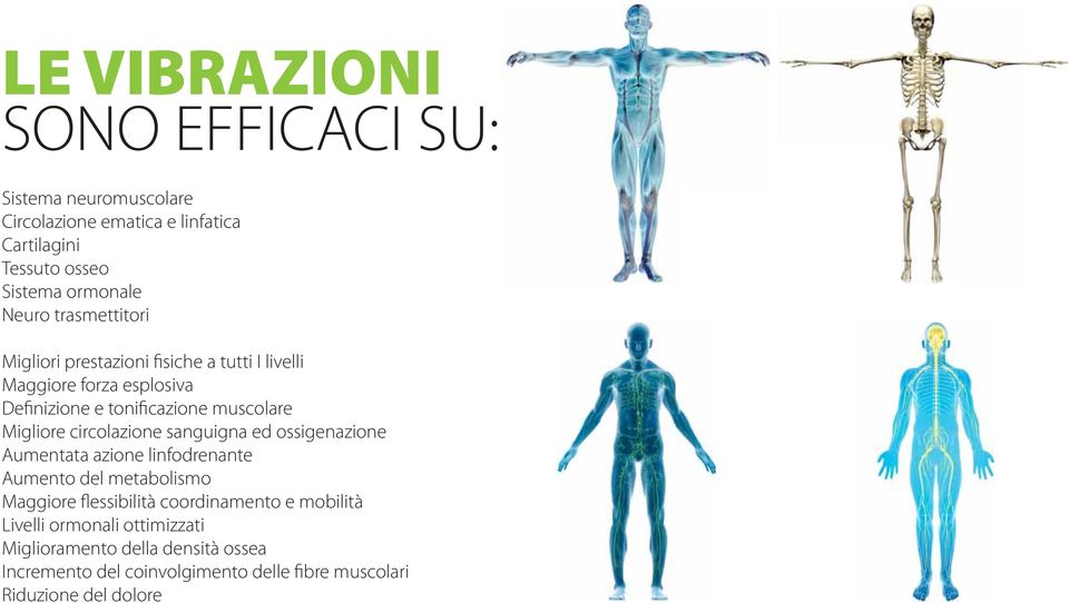 circolazione sanguigna ed ossigenazione Aumentata azione linfodrenante Aumento del metabolismo Maggiore flessibilità coordinamento e