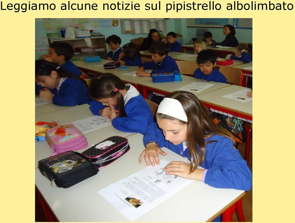 notizie sul