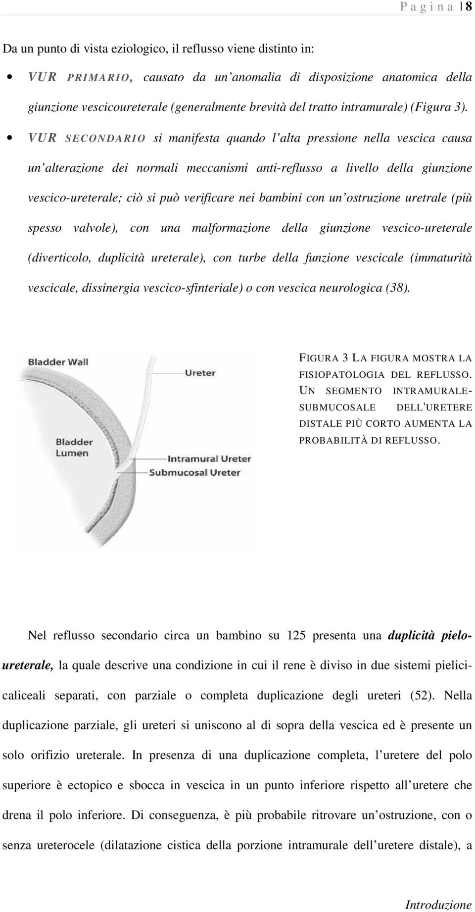 VUR SECONDARIO si manifesta quando l alta pressione nella vescica causa un alterazione dei normali meccanismi anti-reflusso a livello della giunzione vescico-ureterale; ciò si può verificare nei