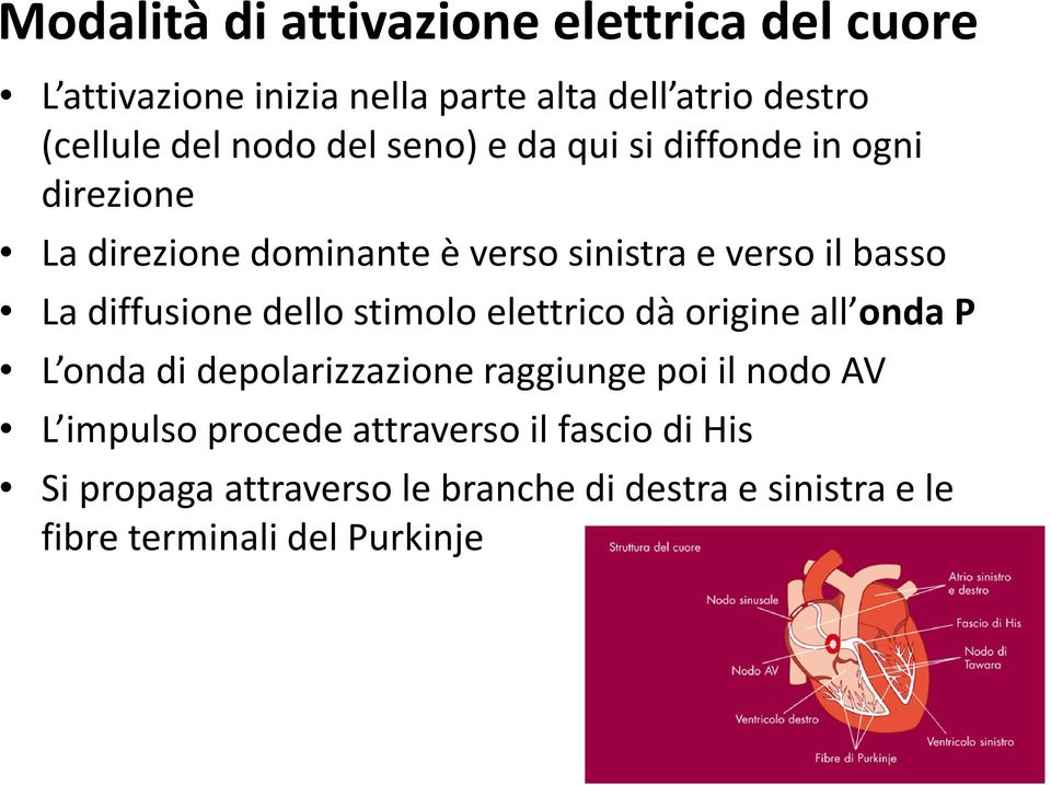 diffusione dello stimolo elettrico dà origine all onda P L onda di depolarizzazione raggiunge poi il nodo AV L