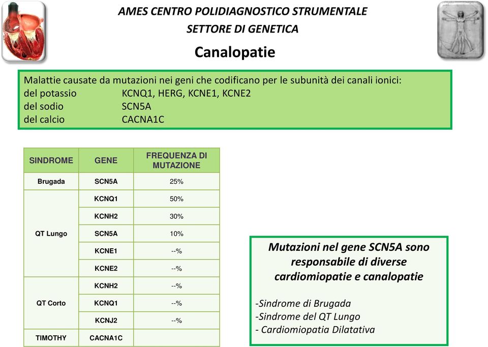 30% QT Lungo QT Corto TIMOTHY SCN5A 10% KCNE1 --% KCNE2 --% KCNH2 --% KCNQ1 --% KCNJ2 --% CACNA1C Mutazioni nel gene SCN5A