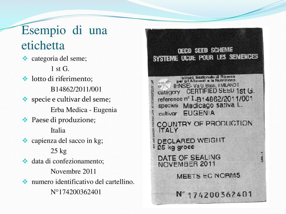 Medica - Eugenia Paese di produzione; Italia capienza del sacco in kg;