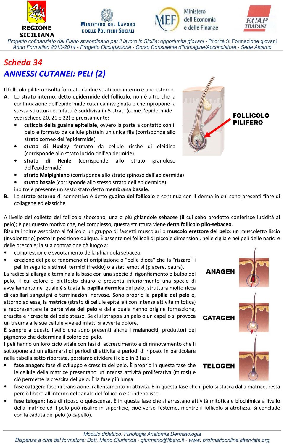 Lo strato interno, detto epidermide del follicolo, non è altro che la continuazione dell'epidermide cutanea invaginata e che ripropone la stessa struttura e, infatti è suddivisa in 5 strati (come