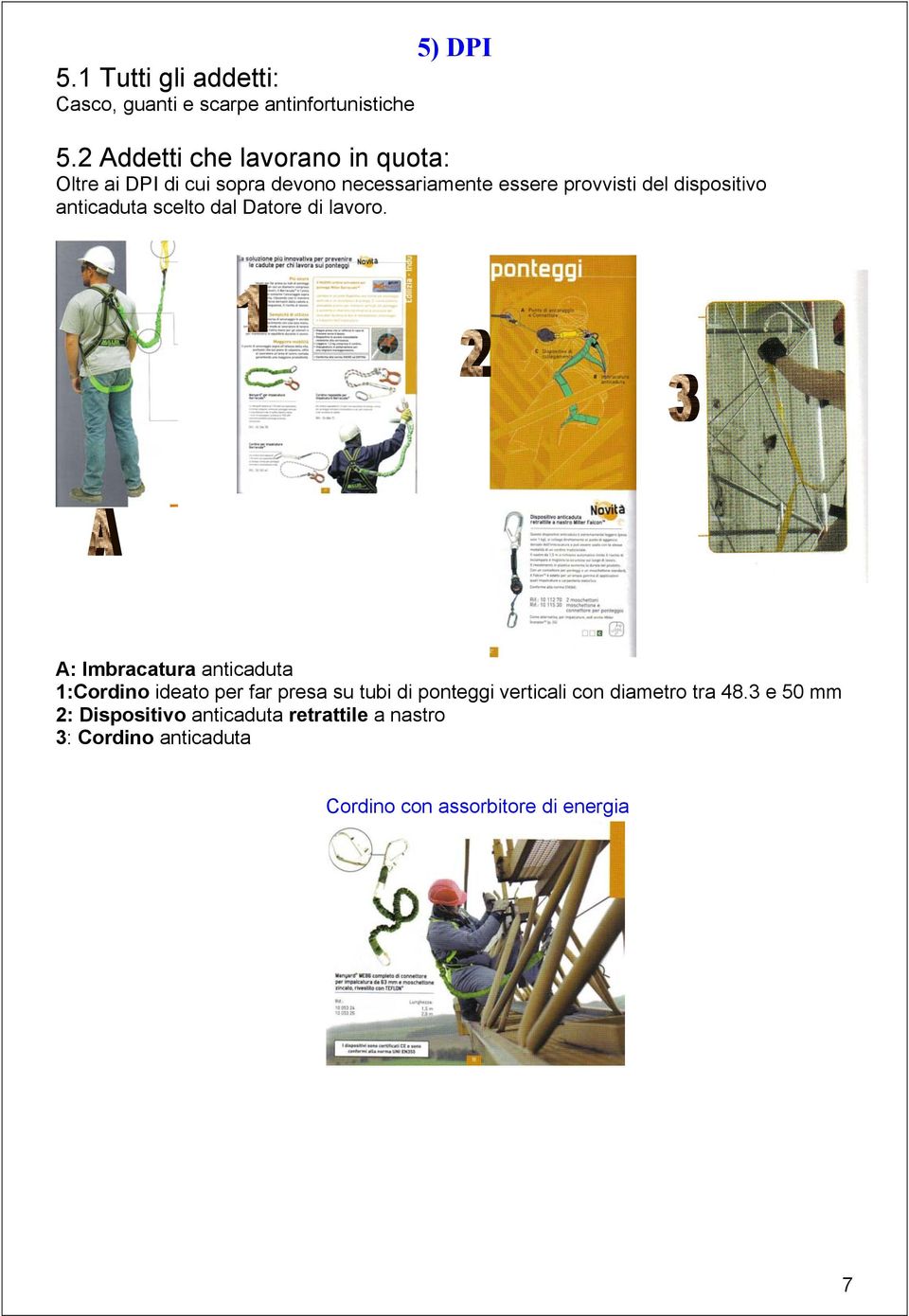 dispositivo anticaduta scelto dal Datore di lavoro.