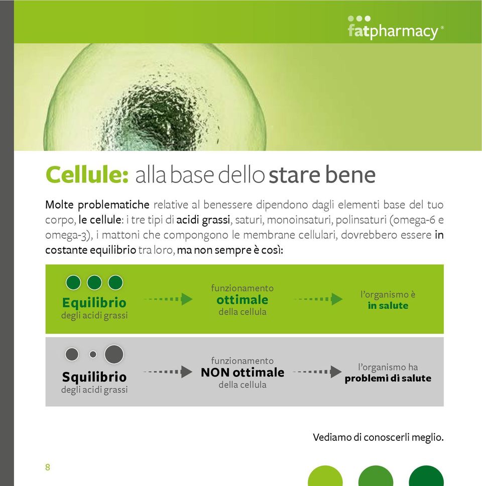 sempre è così: Equilibrio degli acidi grassi funzionamento ottimale della cellula l organismo è in