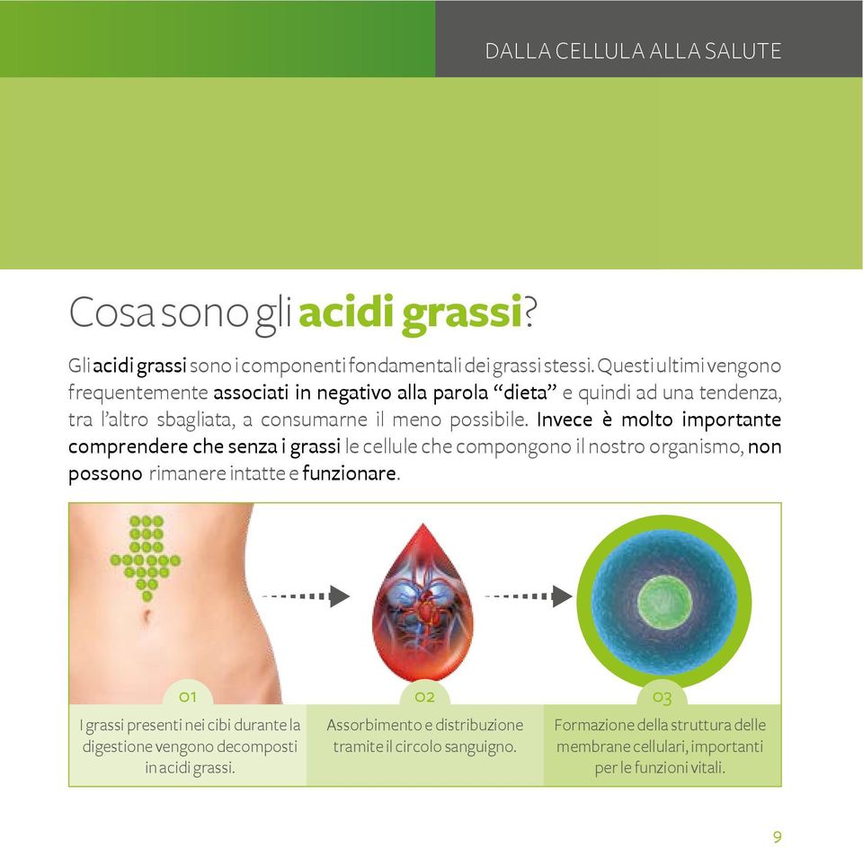 Invece è molto importante comprendere che senza i grassi le cellule che compongono il nostro organismo, non possono rimanere intatte e funzionare.