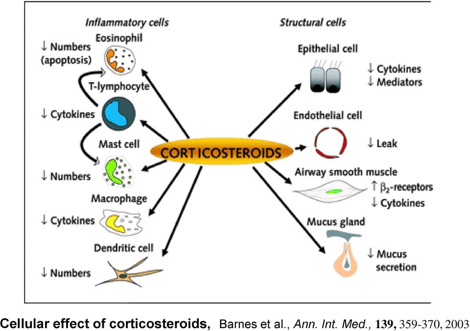 Barnes et al., Ann.