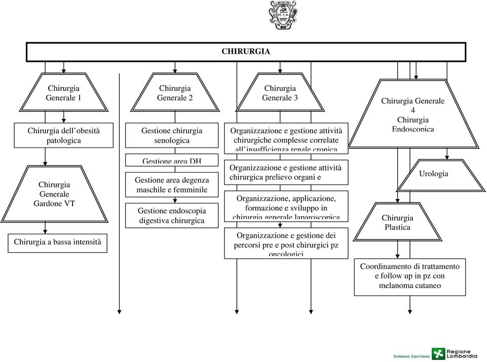 femminile Gestione endoscopia digestiva chirurgica Organizzazione e gestione attività chirurgica prelievo organi e trapianto di rene Organizzazione, applicazione, formazione e sviluppo in